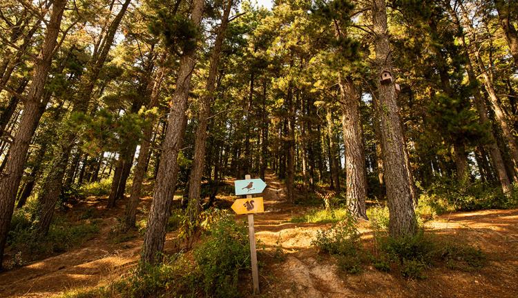 Elite World Grand Sapanca’da Kozmetik Konferansı